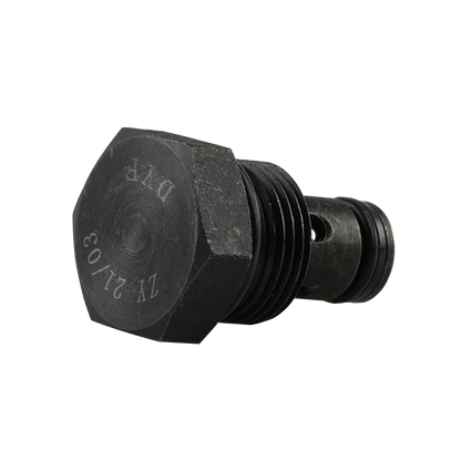 EAE Check Valve